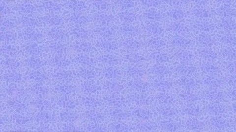 Geometric Texture Surface Pro Studio Video stock 328676780