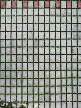 A geometric, top-down view of rectangular gray concrete pavers laid in a grid 스톡 사진