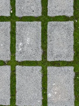 A geometric, top-down view of rectangular gray concrete pavers laid in a grid 写真素材