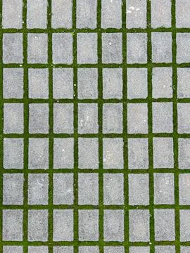 A geometric, top-down view of rectangular gray concrete pavers laid in a grid 스톡 사진