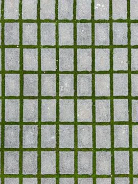 A geometric, top-down view of rectangular gray concrete pavers laid in a grid Stock Photos
