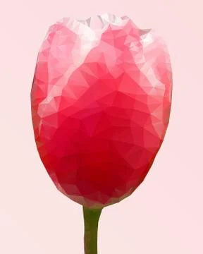 Geometric tulip flower Stock Illustration