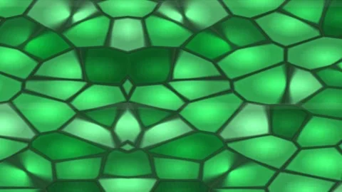 Geometric Voronoi Growth Pattern Organic Tech Animation Stock Footage 339558889