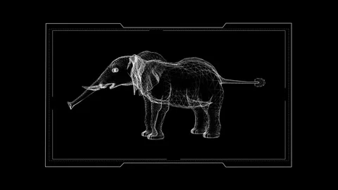 Geometric Wireframe Elephant 3D Rendering on a Black Background Stock Footage 342247774