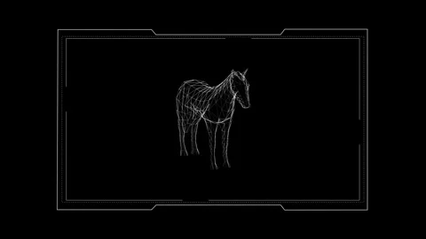 Geometric Wireframe Horse Designs on Black Background for Digital Art Inspi.. 库存影片 343218034