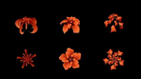 Geometrical flowers with alpha set Video stock 10597227