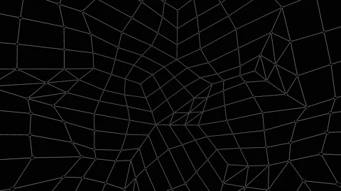 Geometrical Looping Background. Plexus. Video stock 155004305