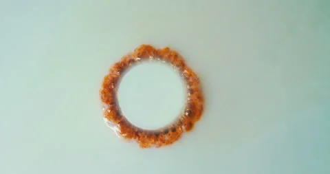 Geometrically precise circle of orange bubbles is formed on the white surface. Stock Footage 206112318