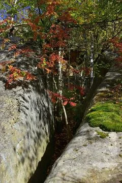Geometrically regular even cracks with parallel walls in a stone massif of qu 库存照片