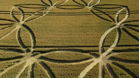 Geometry Crop Circle, 4K Drone Clip, Scratchbury Hill Fort, UK, 7th July 2023 Stock-Footage 265583208