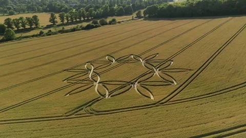 Geometry Crop Circle, Drone Clip, Scratchbury Hill Fort, UK, 7th July 2023, 4K Stock Footage 265529298