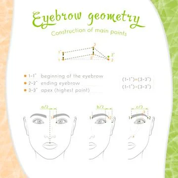 The geometry of the eyebrows is basic Illustrazione stock