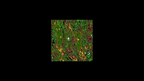 Geometry Stock Footage 78352053