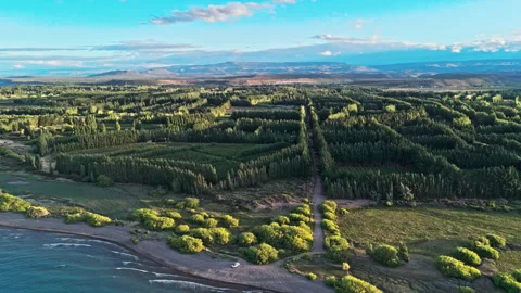 Geometry in the nature of Argentina. Video stock 299619698