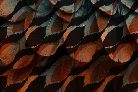 Geometry repeat pattern with texture background,colorful pattern work Stock Illustration