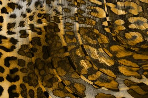 Geometry repeat pattern with texture background,colorful pattern work Illustrazione stock