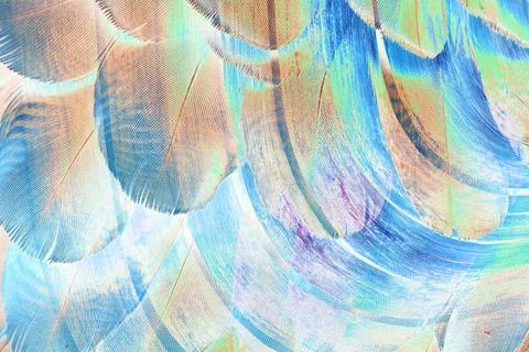 Geometry repeat pattern with texture background,colorful pattern work Stock Illustration