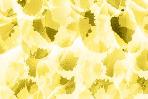 Geometry repeat pattern with texture background,colorful pattern work Stock Illustration