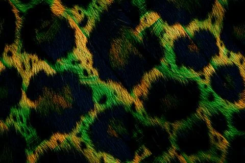 Geometry repeat pattern with texture background,colorful pattern work Stock Illustration