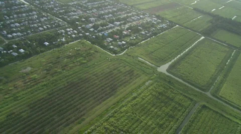 Georgetown from the air Stock Footage 519523