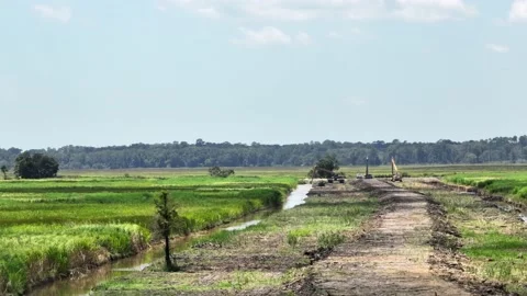 Georgetown SC rice fields conservation efforts in Santee River Delta Stock Footage 204799608