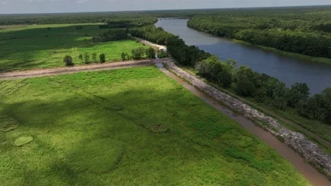 Georgetown SC rice fields Santee River Delta WMA Stock Footage 204799768