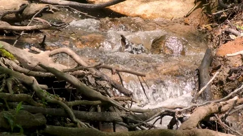 Georgia Amicacola Falls  A close up of a tiny waterfall off of the Amicacola Stock Footage 241600706