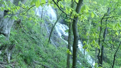 Georgia Amicacola Falls  A side view of Amicacola Falls through the trees an Vidéo 241600755