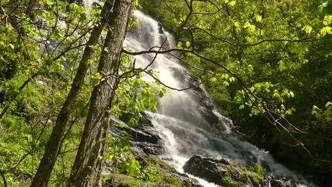 Georgia Amicacola Falls  A side view of Amicacola Falls through the trees wi Vidéo 241600762