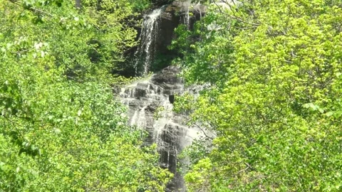 Georgia Amicacola Falls  A view of the middle of Amicacola Falls with trees Stock Footage 241600972