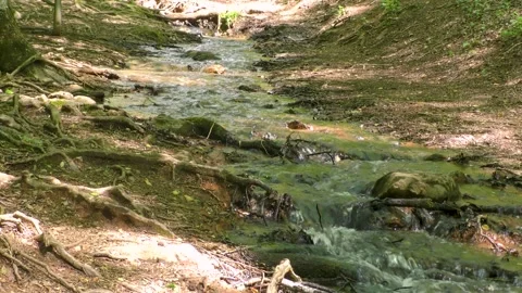 Georgia Amicacola Falls  A view of a sid creek off of the Amicacola Creek wi Vidéo 241600909