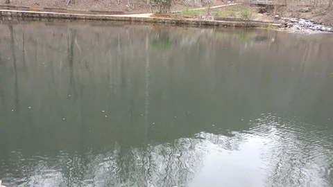Georgia, Amicalola Falls, The Reflection Pool at the lower Amicalola Creek Stock Footage 87740051