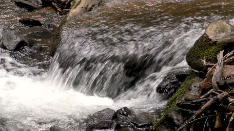 Georgia Amicalola Falls Spring  A close up of a tiny waterfall flowing over Video stock 155359844