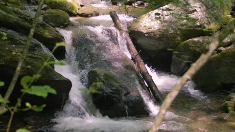 Georgia Anna Ruby Falls  A big rock with water flowing over it in York-Smith Stockbeeldmateriaal 241693455