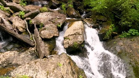 Georgia Anna Ruby Falls  A pan right and a tilt down on a small water fall o Stock Footage 241693477