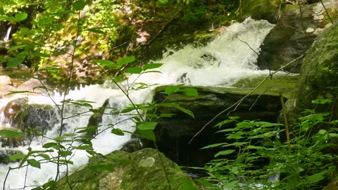 Georgia Anna Ruby Falls  Pan left and tilt down following the water flowing Stock Footage 241693667