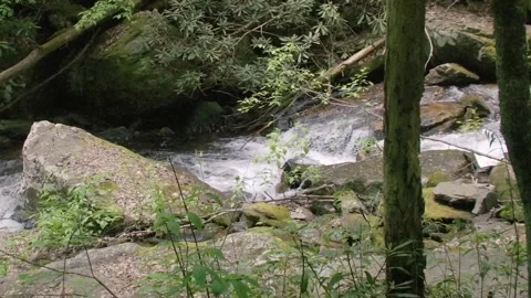 Georgia Anna Ruby Falls  A view following the flow of the water down stream Stock Footage 241693502