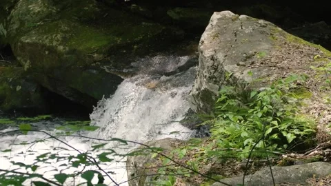 Georgia Anna Ruby Falls  A view of a small wateerfalls the the York-Smith Cr Stock Footage 241693510