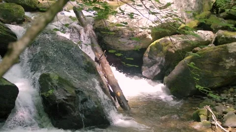 Georgia Anna Ruby Falls  A view of a small waterfall with trees and rocks on Stock Footage 241693524