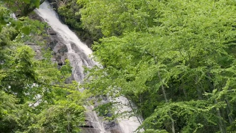Georgia Anna Ruby Falls  A view of one of the side falls at Anna Ruby Falls Stock Footage 241693535