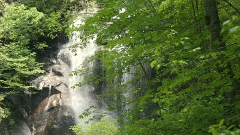 Georgia Anna Ruby Falls  A view of the middle part of the Anna Ruby Falls th Stock Footage 241693549