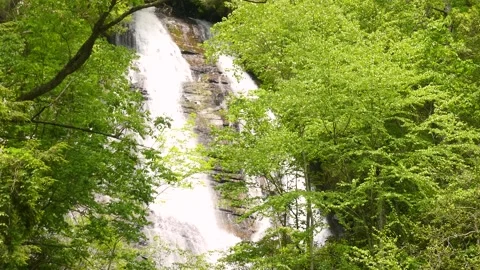 Georgia Anna Ruby Falls  A view of the upper part of the Anna Ruby Falls thr Stock Footage 241693577
