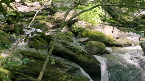 Georgia Anna Ruby Falls  A zoom in on a small waterfall on the York-Smith Cr Vidéo 241693596