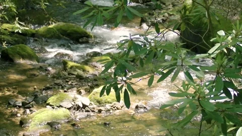 Georgia Anna Ruby Falls A zoom in and a tilt up on the water flowing on the Vidéo 241693682