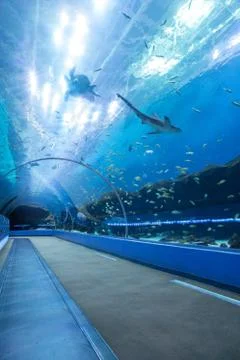 Georgia Aquarium Empty Stock Photos