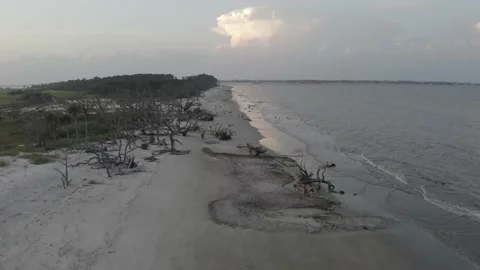 Georgia Beach Shore Video stock 148594752