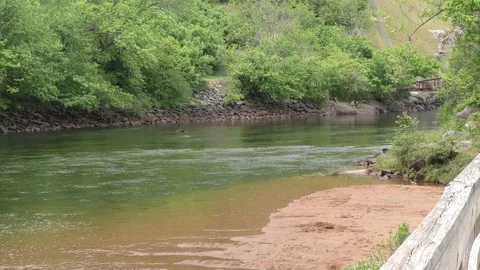 Georgia, Buford Dam Park, Looking upstream on the Chattahoochee River toward Stock Footage 89736216