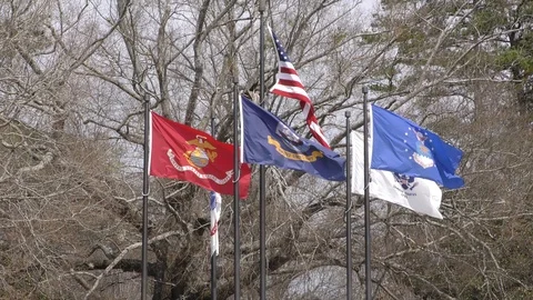 Georgia, Cauble Park, Flags flying over the Veterans Memorial at Lake Acworth Stock Footage 87809766