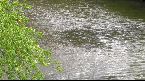 Georgia Chastatee River A close up view of water flowing in the Chestatee R Stock Footage 140030261