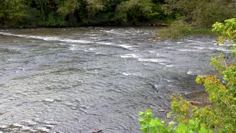 Georgia Chastatee River A right to left pan across the Chestatee River abd Stock Footage 140029651